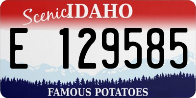 ID license plate E129585