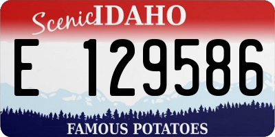 ID license plate E129586