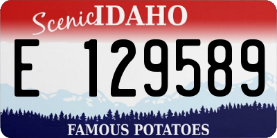 ID license plate E129589