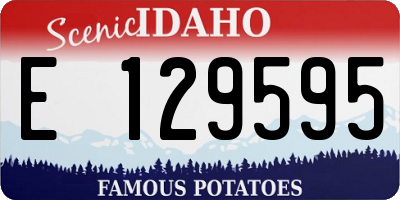ID license plate E129595