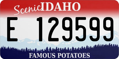 ID license plate E129599