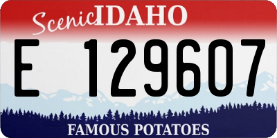ID license plate E129607