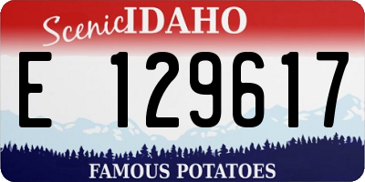 ID license plate E129617