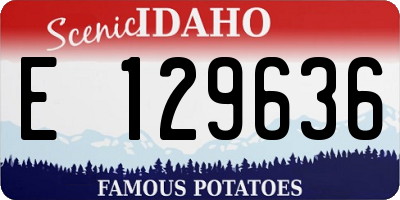ID license plate E129636