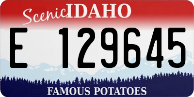 ID license plate E129645