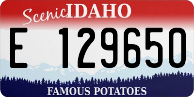 ID license plate E129650