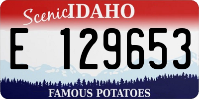 ID license plate E129653
