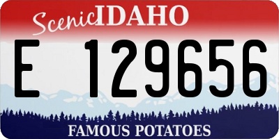 ID license plate E129656