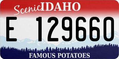 ID license plate E129660