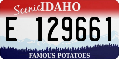 ID license plate E129661