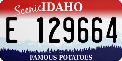 ID license plate E129664