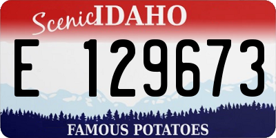 ID license plate E129673