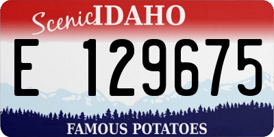 ID license plate E129675