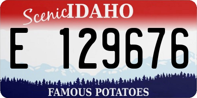 ID license plate E129676