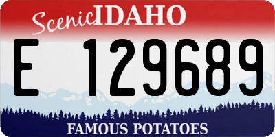 ID license plate E129689