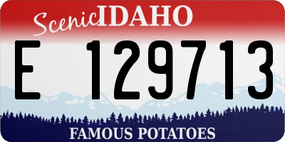ID license plate E129713