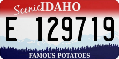 ID license plate E129719