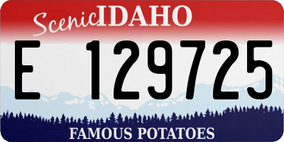 ID license plate E129725