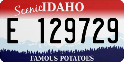 ID license plate E129729