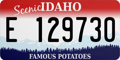 ID license plate E129730