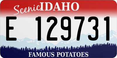 ID license plate E129731