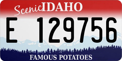 ID license plate E129756