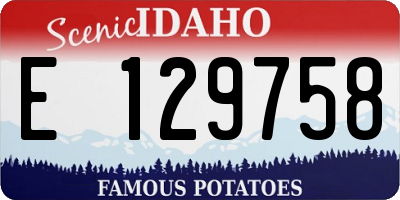 ID license plate E129758