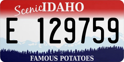 ID license plate E129759