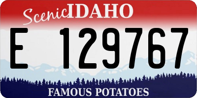 ID license plate E129767