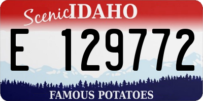 ID license plate E129772