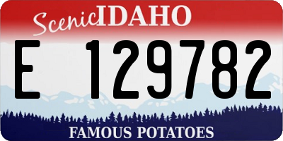 ID license plate E129782