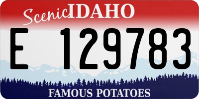 ID license plate E129783