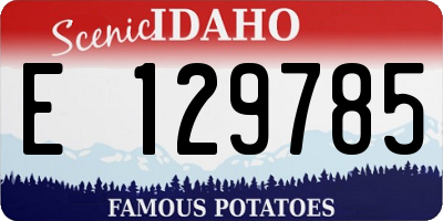 ID license plate E129785