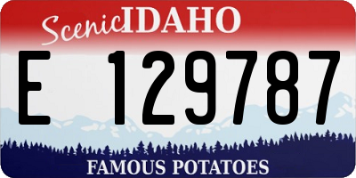 ID license plate E129787