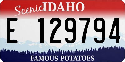 ID license plate E129794