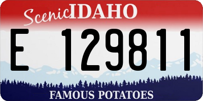 ID license plate E129811