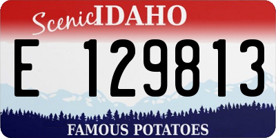 ID license plate E129813