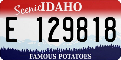 ID license plate E129818