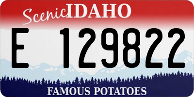ID license plate E129822
