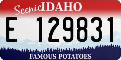 ID license plate E129831