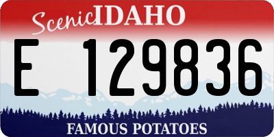 ID license plate E129836