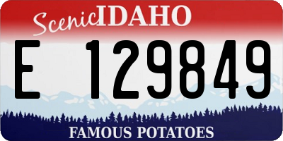 ID license plate E129849