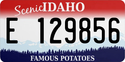 ID license plate E129856