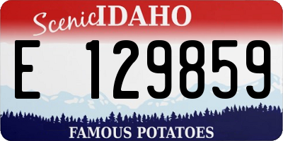 ID license plate E129859