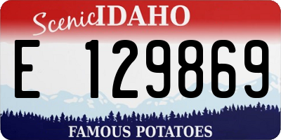 ID license plate E129869