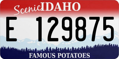ID license plate E129875