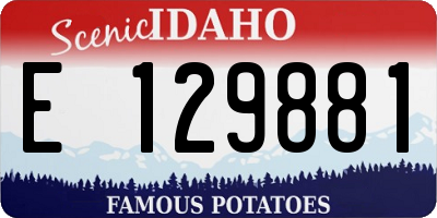 ID license plate E129881