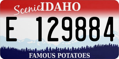 ID license plate E129884