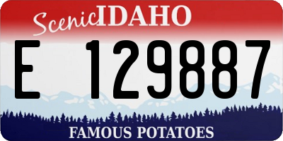 ID license plate E129887