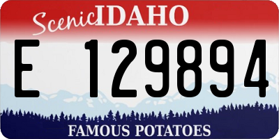 ID license plate E129894
